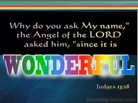 Judges 13:18